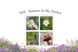 バッチフラワーエッセンス入門講座